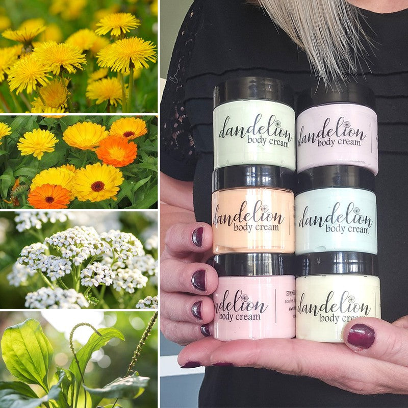 Dandelion BODY CREAM {LAVENDER}