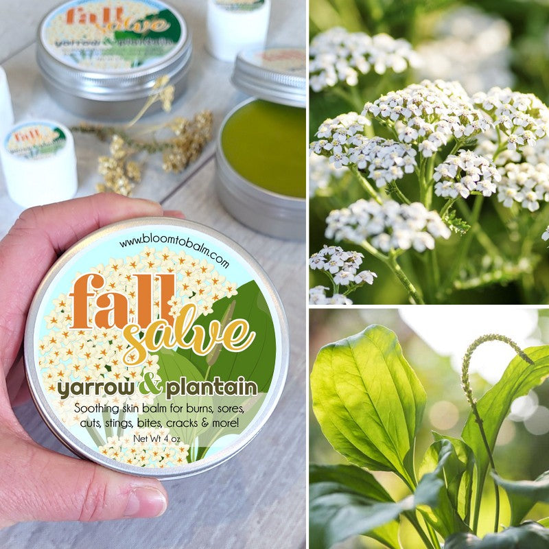 FALL Salve {Limited-Edition Seasonal}