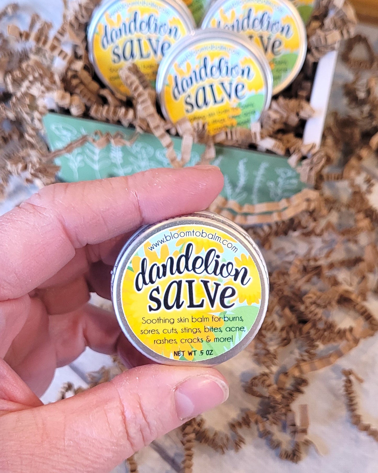 DANDELION Salve {HALF OZ} 5-Pack