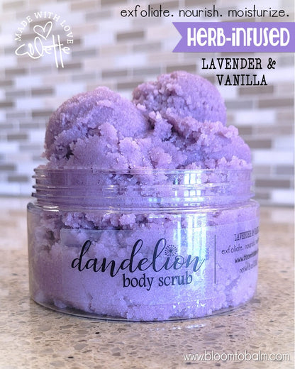 Dandelion SUGAR SCRUB {LAVENDER VANILLA}