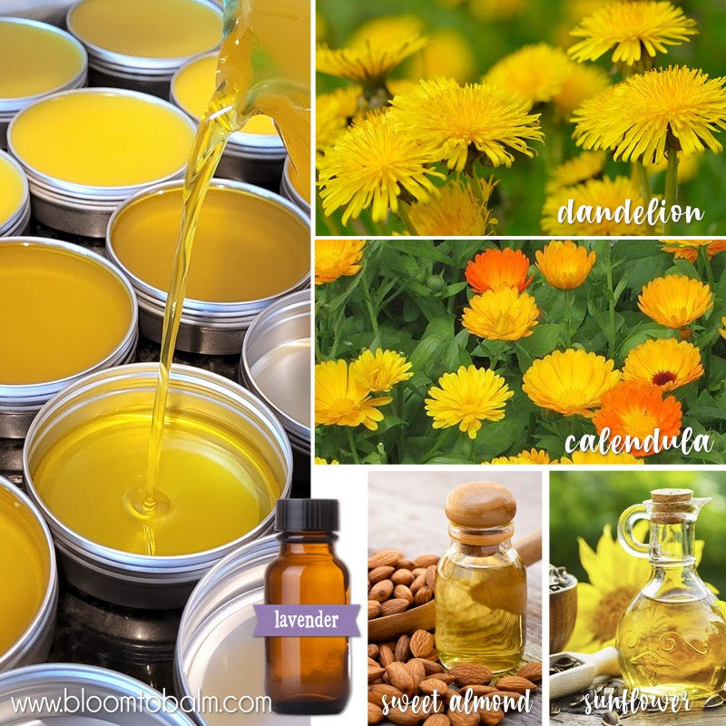DANDELION Salve {Original Formula}
