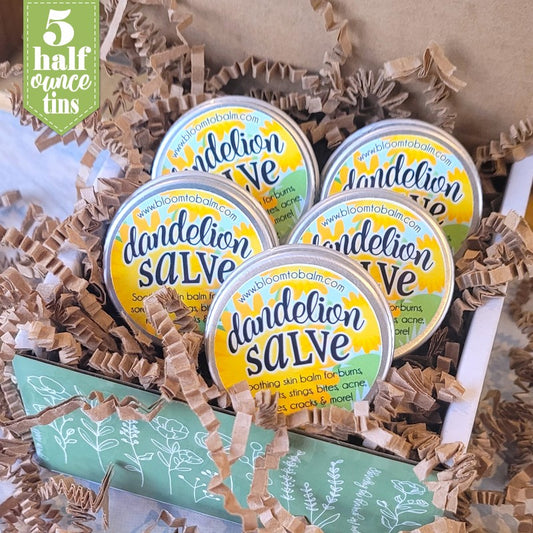 DANDELION Salve {HALF OZ} 5-Pack
