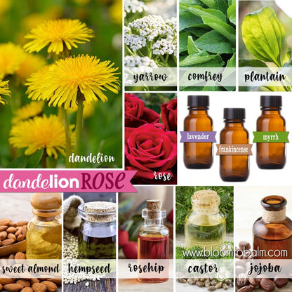Dandelion Rose Facial {TRIO} 2 oz Salve, Liquid Salve & Oil Cleanser