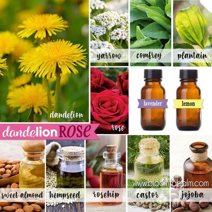 DANDELION Rose Facial {1.7 oz OIL CLEANSER} 2-Pack
