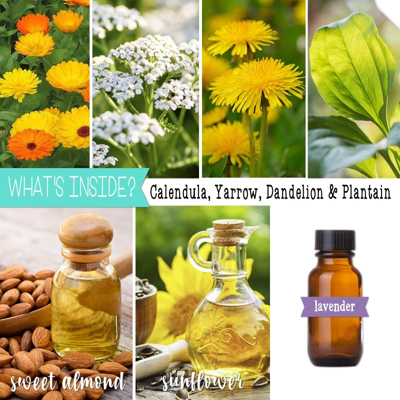 SKIN & WOUND {Calendula} Salve