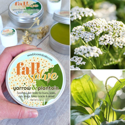 FALL Salve {Limited-Edition Seasonal}